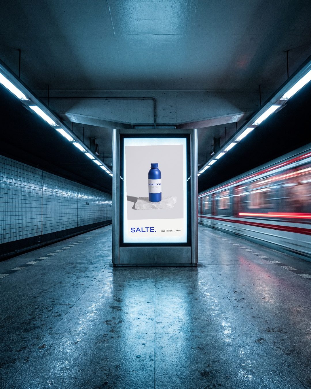 SALTE poster in a metro lightbox